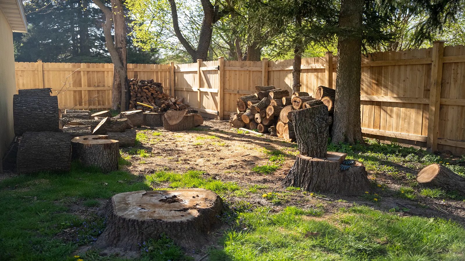 Natural Warmth — cedar wood fence